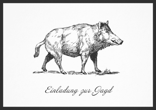 Hunting invitation card with illustrated strong wild boar Black.