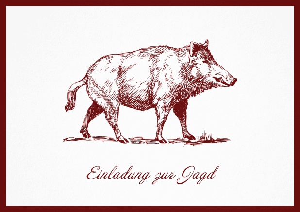 Hunting invitation card with illustrated strong wild boar Red.